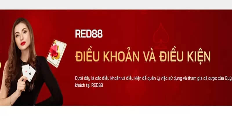 dieu khoan va dieu kien nha cai red88