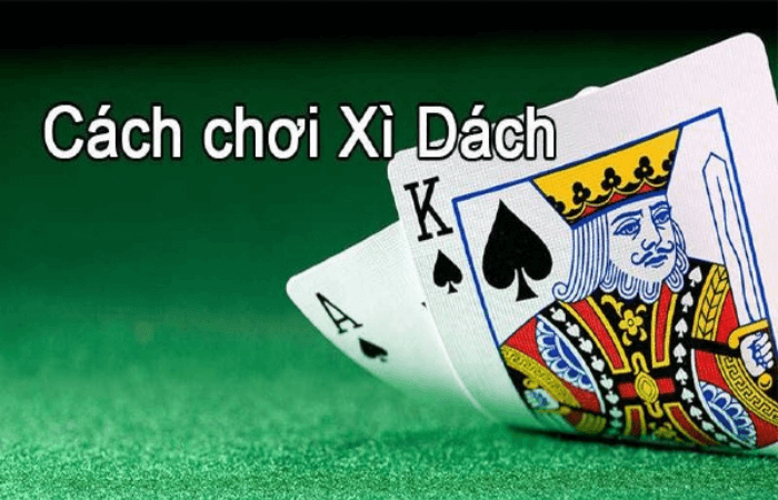 xi dach