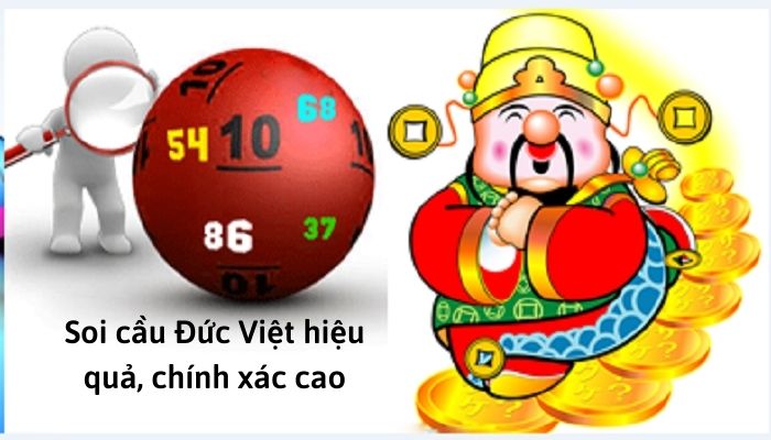 loi ich cua soi cau duc viet red88